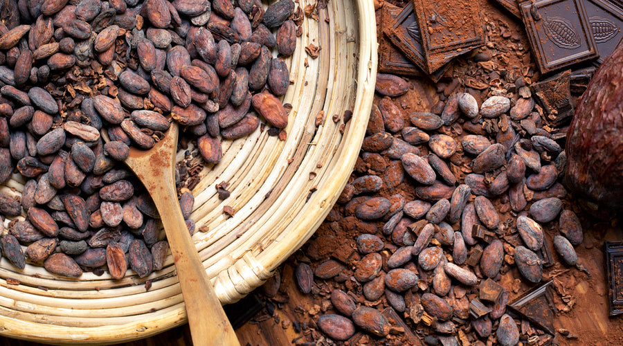 The origin of chocolate